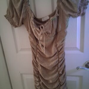 Elegant Tan Ruched Dress